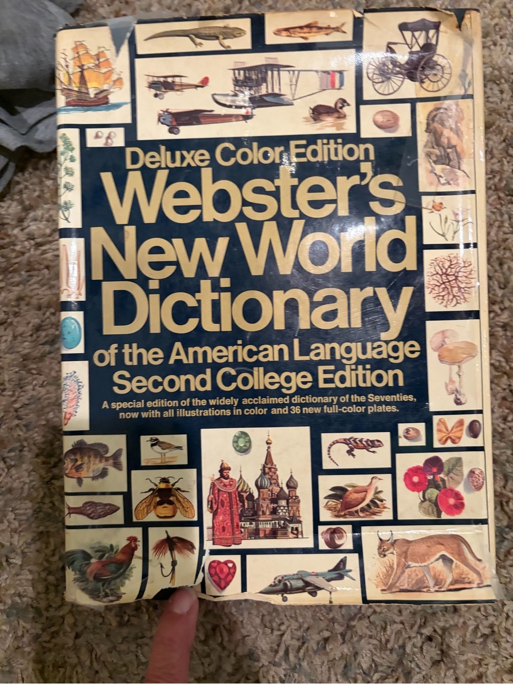 Webster's New World Dictionary Deluxe Color American Language 2nd Edition 1972